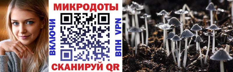 Псилоцибиновые грибы Psilocybe  МЕГА как войти  Кингисепп 