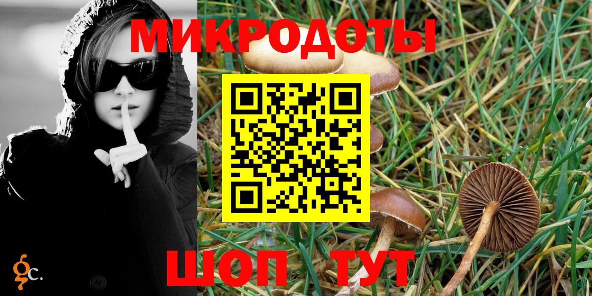 Кингисепп  Псилоцибиновые грибы Magic Shrooms  Вход с VPN  Галлюциногенные грибы прущие грибы 